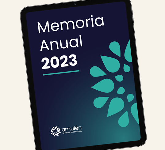 Amulen-memorias-269x245-2