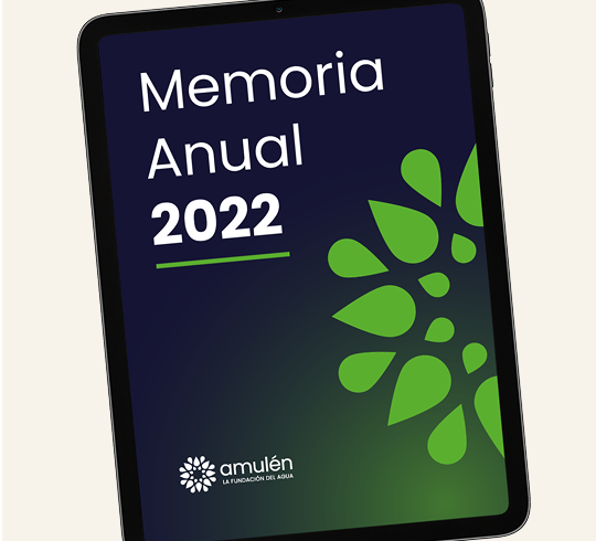 Amulen-memorias-269x245-3