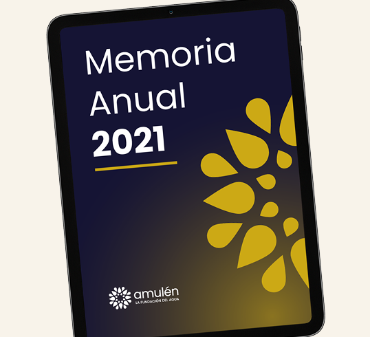 Amulen-memorias-269x245-4